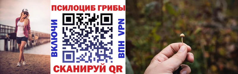Псилоцибиновые грибы Psilocybe  Купить  Арск 